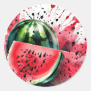 Search for watermelon slice stickers Watercolor