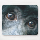 Search for cute ups mouse mats Mammal