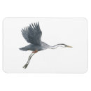 Search for bird flight magnets Great blue heron