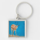Search for grant key rings Animal