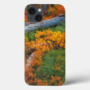 Search for berry ipad cases Colourful