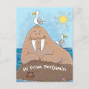 Search for walrus postcards Ocean