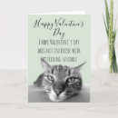 Search for sorry cards Cat