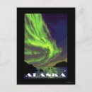 Search for orca postcards Original