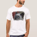 Search for enjoyable tshirts Animal
