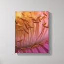 Search for seeds canvas prints Beautiful