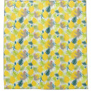 Search for exotic shower curtains Summer