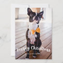 Search for fun photo christmas cards Script
