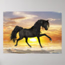 Search for black horse posters Stallion