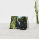 Search for hidden cards Photography