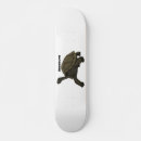 Search for tortoise skateboards Reptile