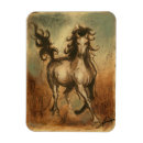 Search for warm magnets Horse
