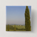 Search for siena badges Destination
