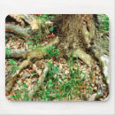 Search for spring tree mouse mats Water