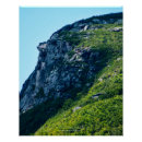 Search for blue granite posters Green