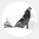 Search for timbers stickers Grey wolves