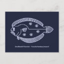 Search for blue fish postcards Sea life