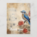 Search for coral rose postcards Nature
