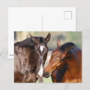 Search for sporting breed postcards Animal