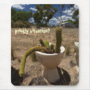 Search for cactus jokes Cacti