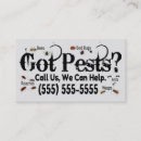 Search for bug business cards Bed bugs