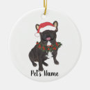 Search for french bulldog home living Frenchie