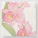 Search for flowers barware Orchid