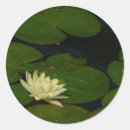 Search for waterlily stickers Lily pad