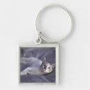 Search for eyes closed key rings Indoors