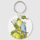Search for budgie key rings Budgerigar