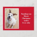Search for dog christmas postcards Simple