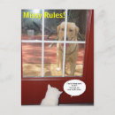 Search for dogs rules postcards Cat