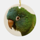 Search for conure christmas tree decorations Parrot