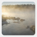 Search for fog stickers Evergreen