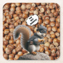 Search for squirrel coasters Wildlife