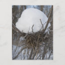 Search for winter bird postcards Tree