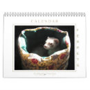 Search for ferret gifts Sweet