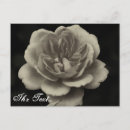 Search for beileid cards Tod