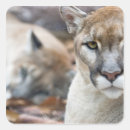 Search for threat stickers Animal
