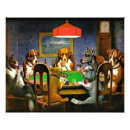 Search for dogs playing poker art C m coolidge