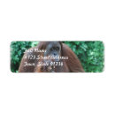 Search for wild life return address labels Zoo