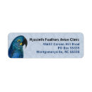 Search for pet bird return address labels Parrot