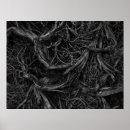 Search for tree roots posters Nature