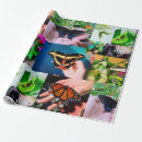 Search for butterfly wrapping paper Wildlife