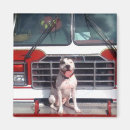 Search for apbt magnets Bull