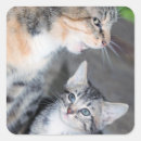 Search for tiger fur stickers Furry