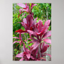 Search for tied posters Floral