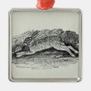 Search for hare christmas tree decorations 19th