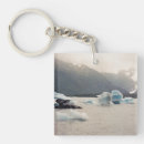 Search for climate change key rings Conservation