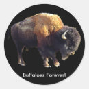 Search for native animals stickers Bison